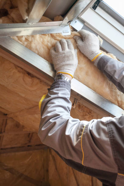 Best Insulation Installation Services in Terry, MS