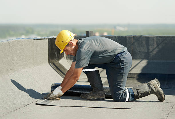 Best Types of Insulation in Terry, MS